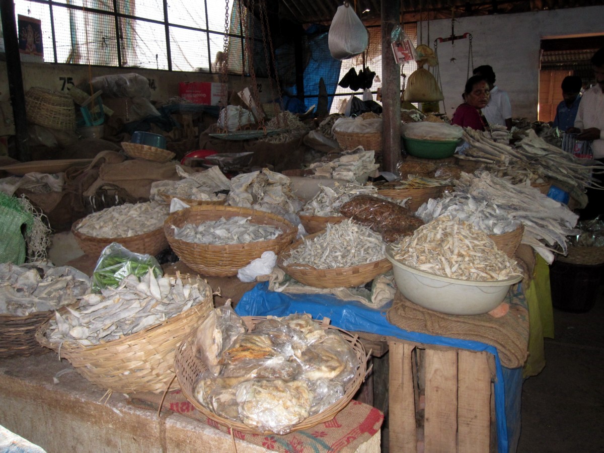 Mangalore Mangalore Mangalore Dry Fish Market